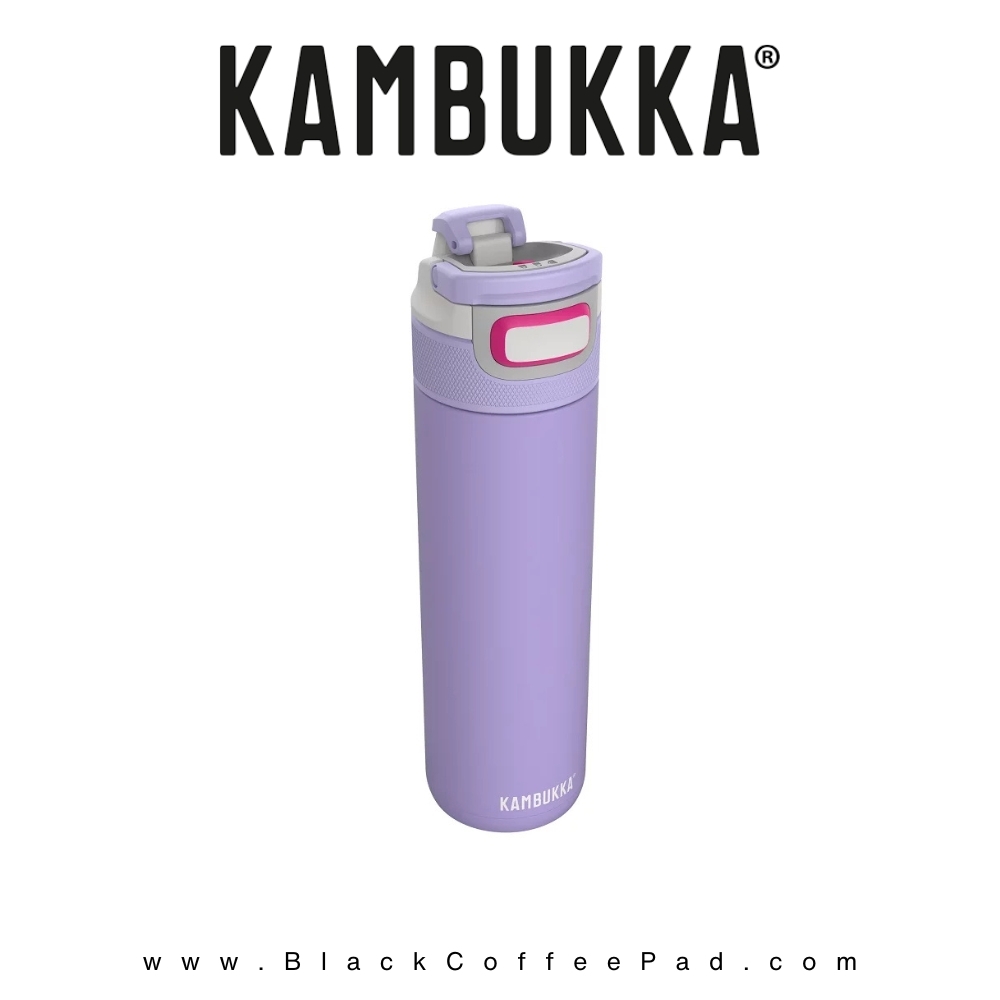  قمقمه دوجداره نی دار کامبوکا Digital Lavender گنجایش ۰٫۶ لیتر | KAMBUKKA lagoon insulated Bottle 600 ml 