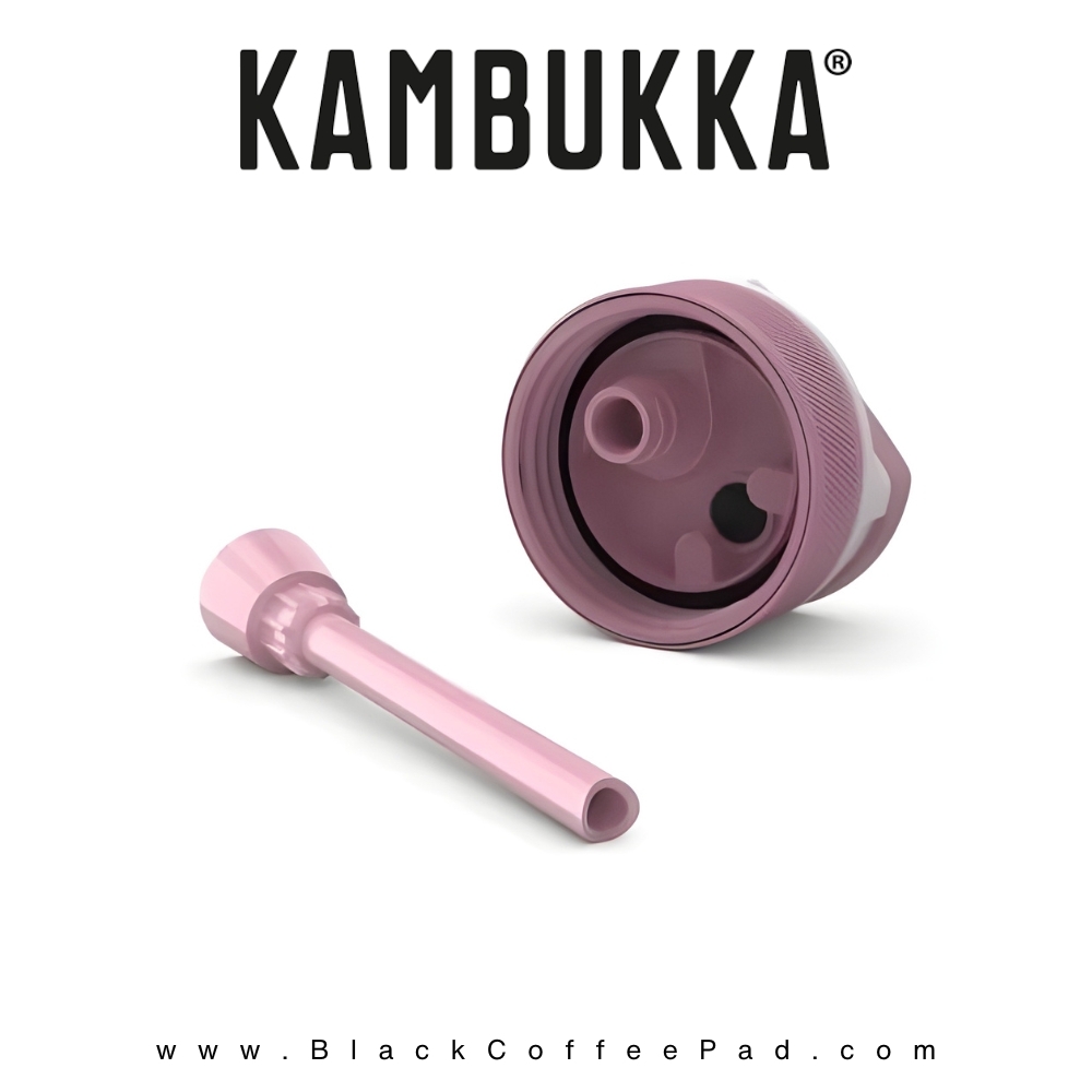  قمقمه کامبوکا بچه گانه نی دار مدل لاگون ۴۰۰ میلی لیتر | KAMBUKKA Prima Ballerina lagoon Bottle 400 ml 