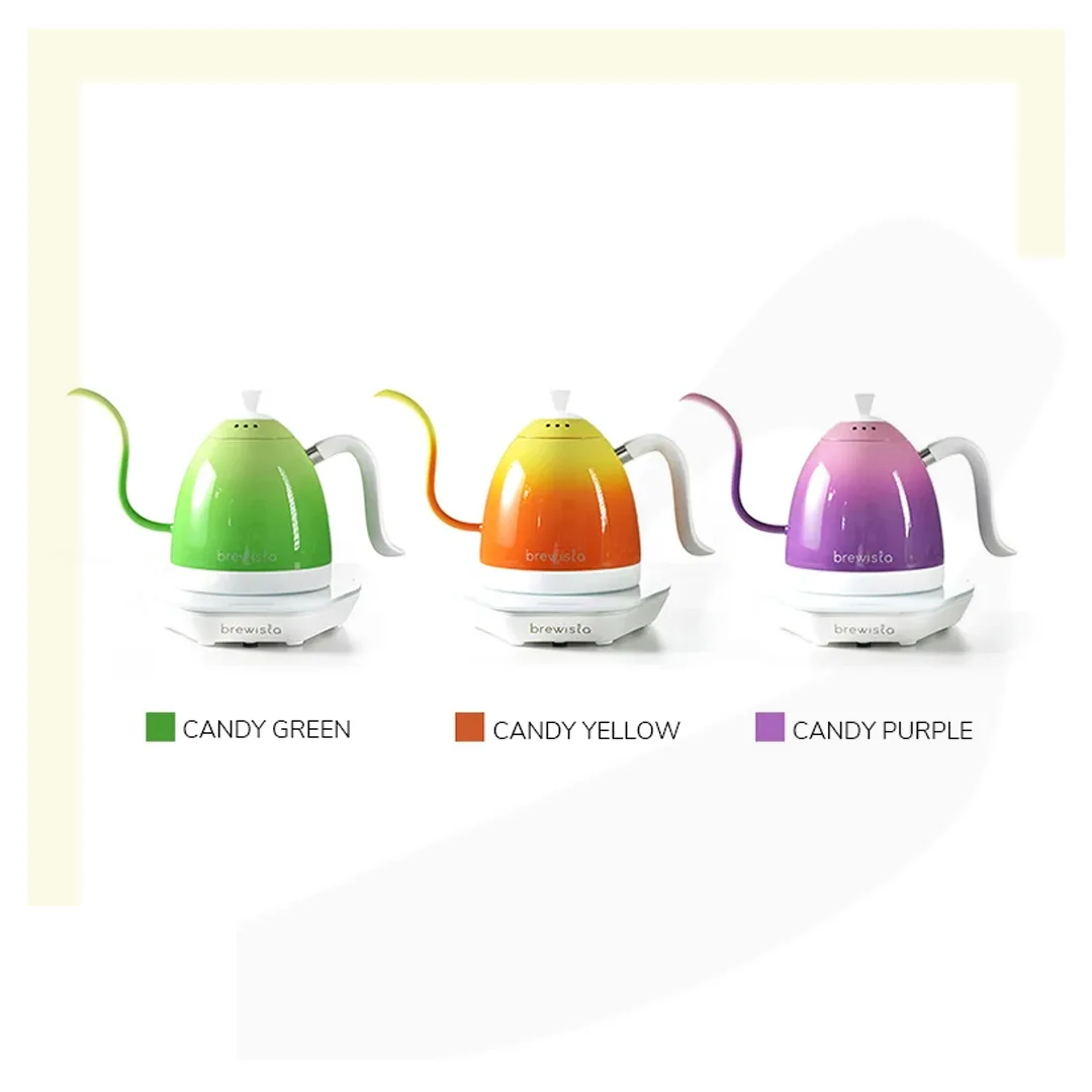  کتل برقی برویستا مدل آرتیسان | Artisan Electric Gooseneck Kettle 