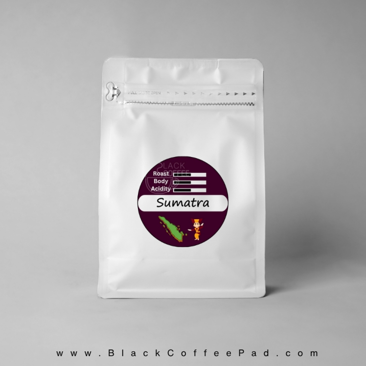 دانه قهوه سوماترا 100% عربیکا | Sumatra coffee beans