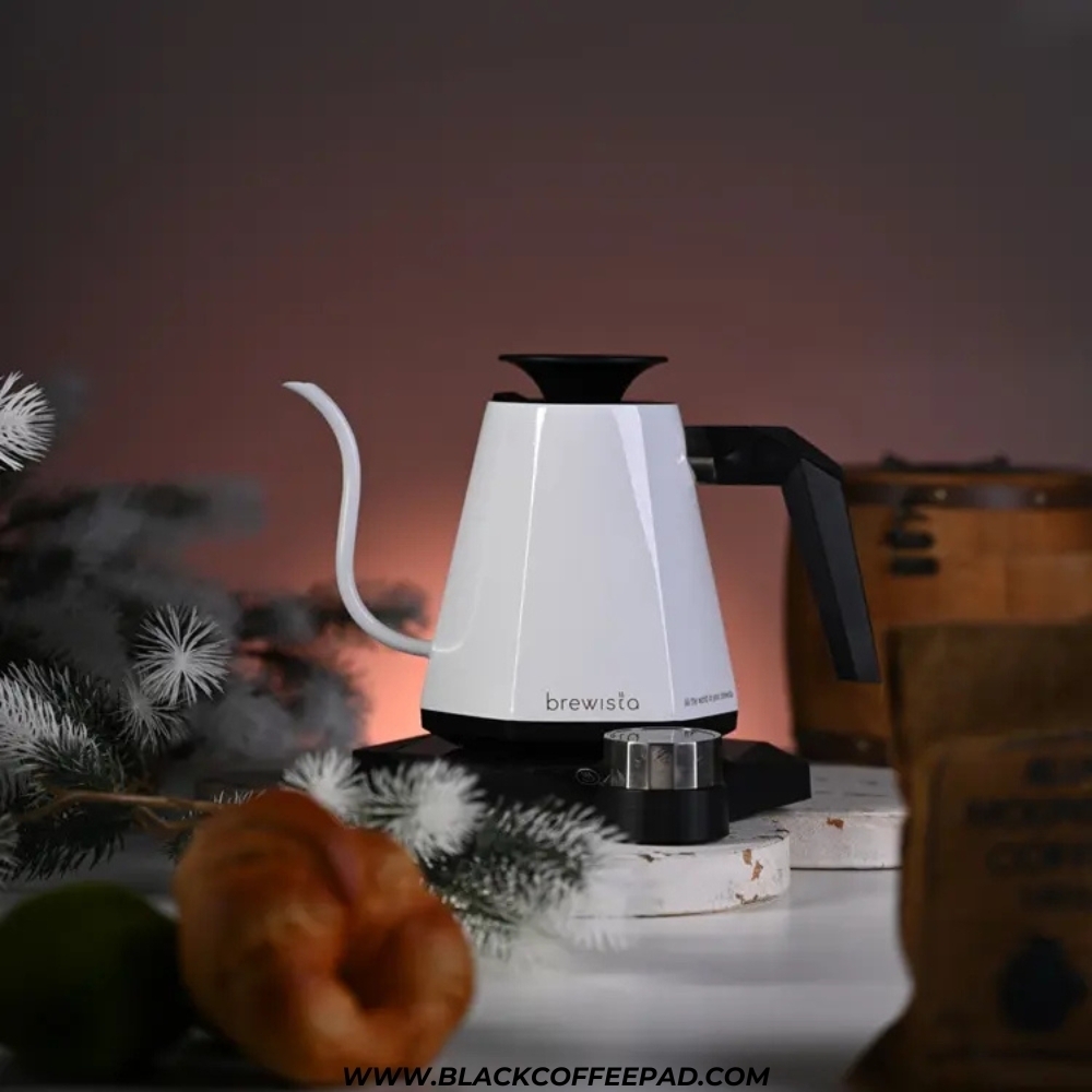  خرید و قیمت کتری برقی برویستا سری X گنجایش 800 میلی لیتر | Brewista X series Kettle 