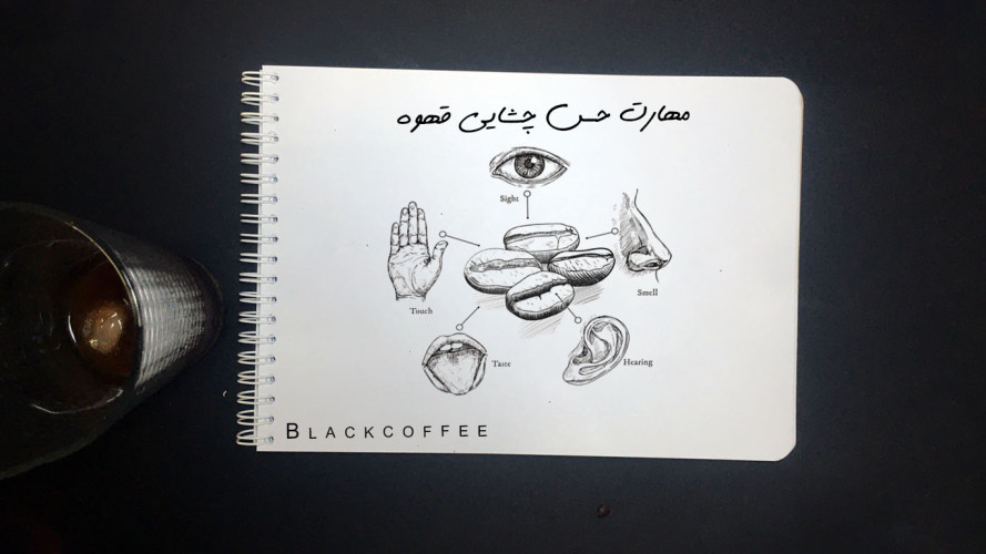 مهارت های حس چشایی sensory skills