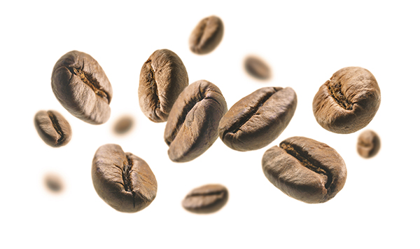 انواع دانه قهوه از عربیکا تا اکسلسا