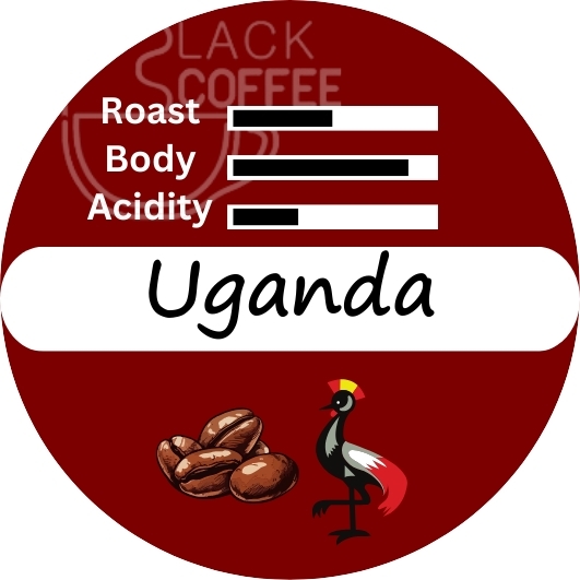  دانه قهوه اوگاندا روبوستا 100% روبوستا | Uganda coffee beans | بهترین دانه قهوه ربوستا 