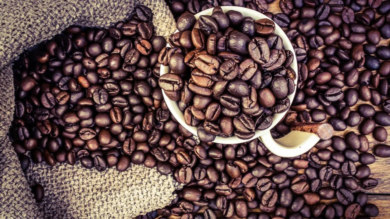 انواع دانه های قهوه روبوستا