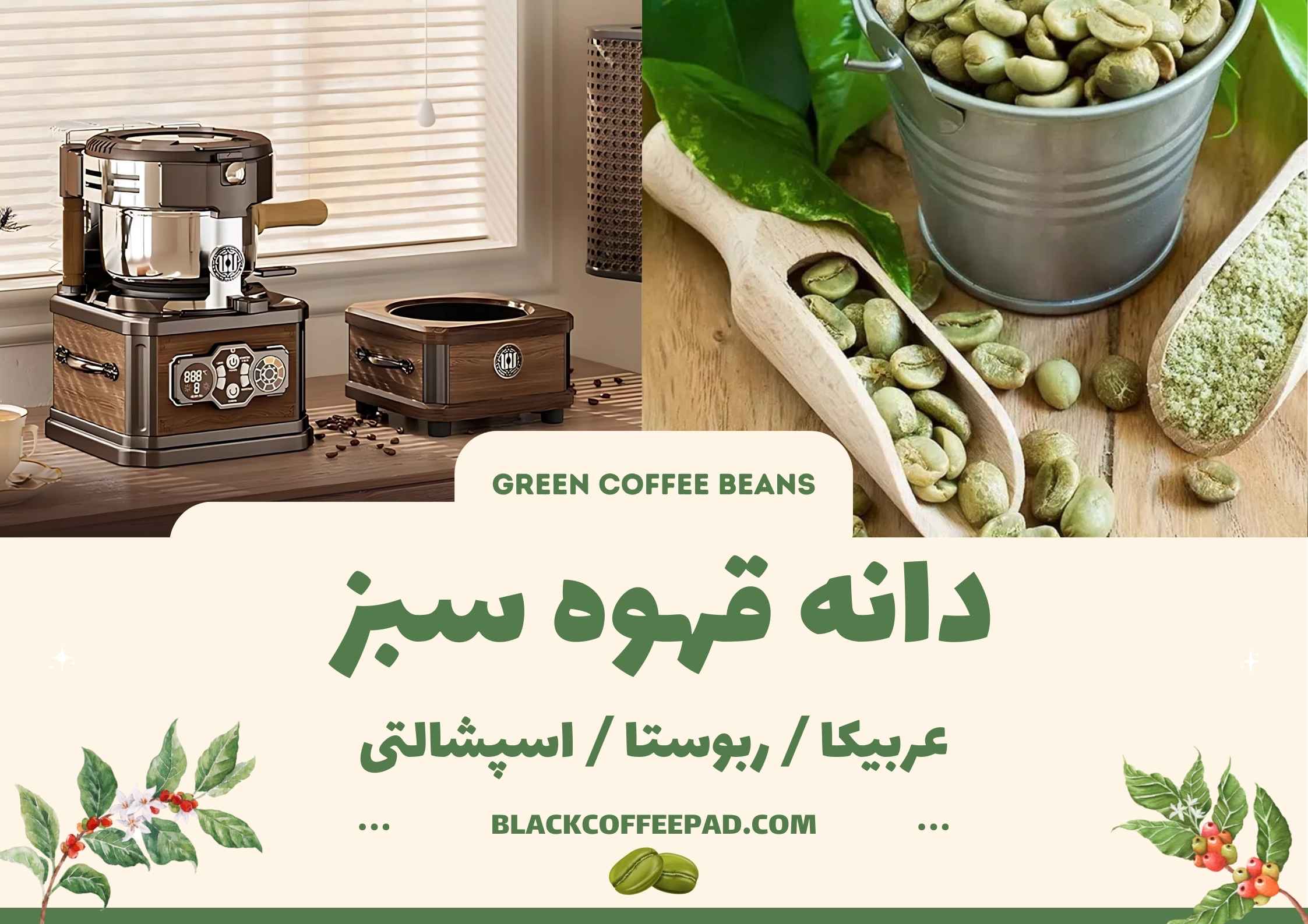 رست دانه قهوه سبز در خانه | راهنمای کامل برای علاقه‌ مندان قهوه تازه ‌برشت