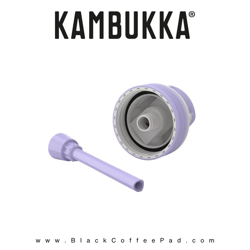  قمقمه دوجداره نی دار کامبوکا Digital Lavender گنجایش ۰٫۶ لیتر | KAMBUKKA lagoon insulated Bottle 600 ml 