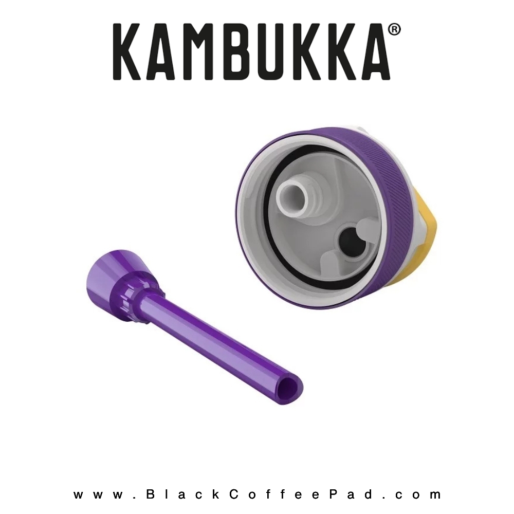  قمقمه کامبوکا بچه گانه نی دار مدل لاگون ۴۰۰ میلی لیتر | KAMBUKKA Surf Girl lagoon Bottle400 ml 