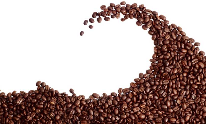 انواع دانه های قهوه روبوستا