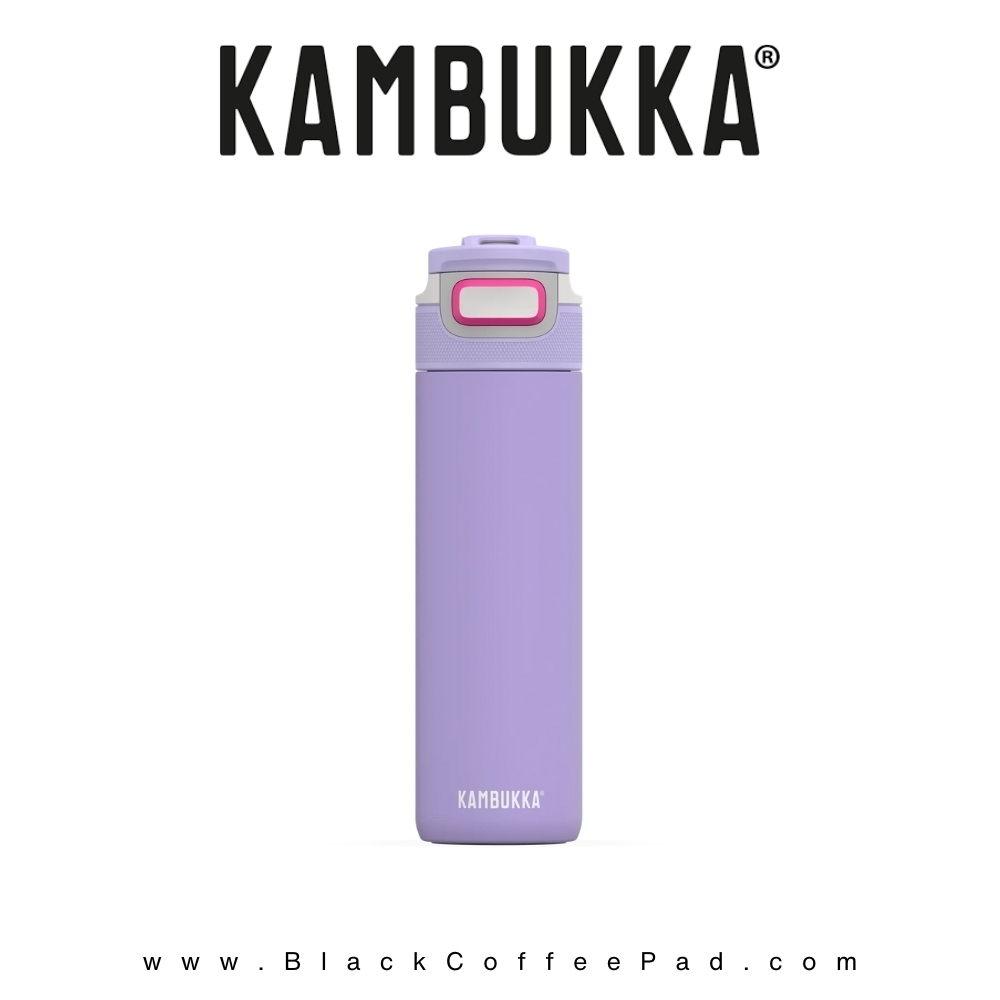  قمقمه دوجداره نی دار کامبوکا Digital Lavender گنجایش ۰٫۶ لیتر | KAMBUKKA lagoon insulated Bottle 600 ml 