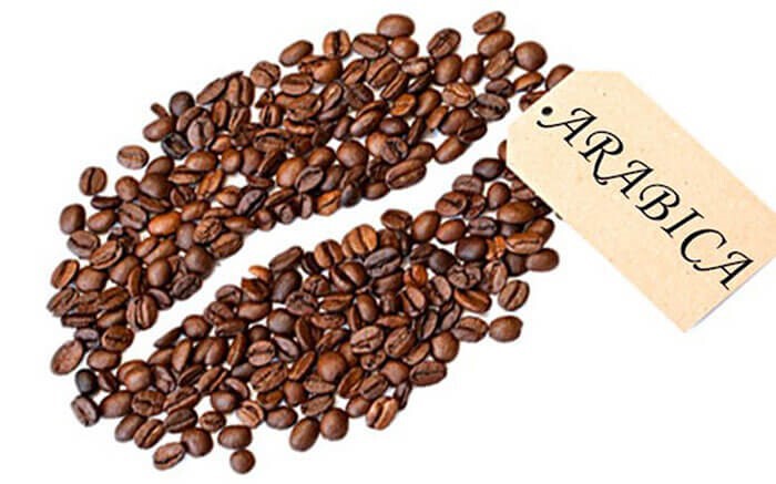 انواع دانه قهوه عربیکا 