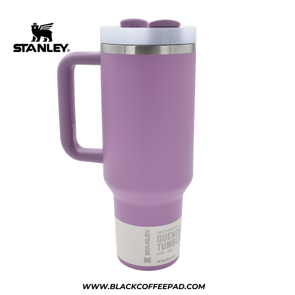  ماگ دسته دار استنلی تامبلر | Stanley QUENCHER H2O TUMBLER 