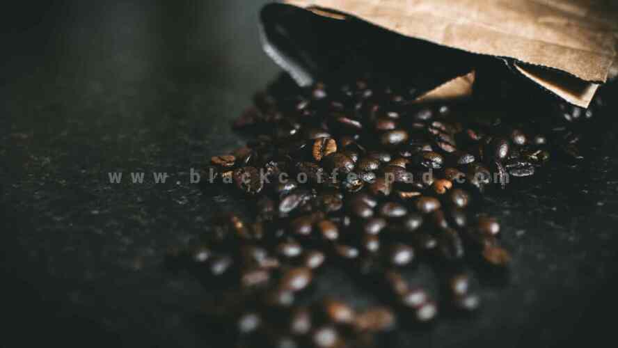 سیر تکاملی قهوه