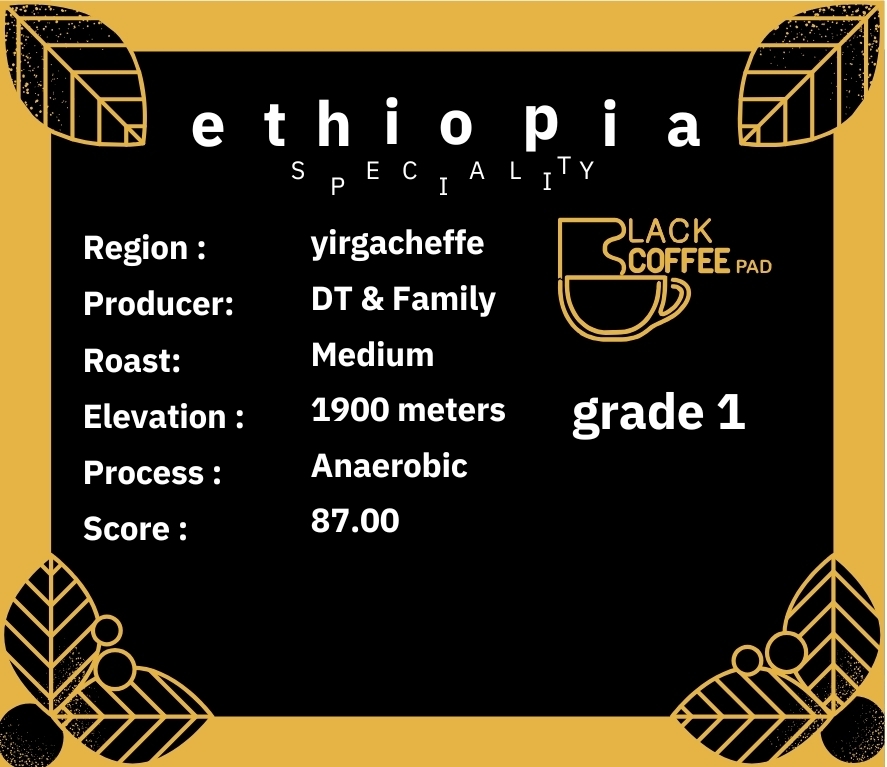 دانه قهوه اسپشالتی اتیوپی یرگاچف انیروبیک 100 گرم | Anaerobic Ethiopian Yirgacheffe Specialty Coffee Bean