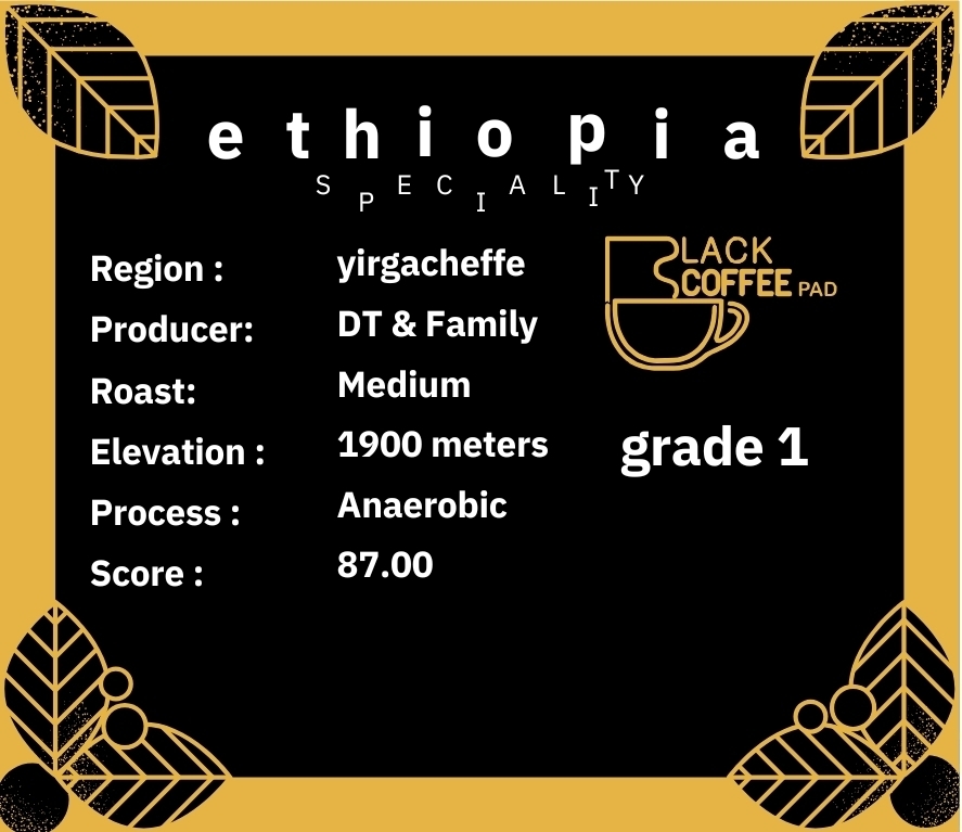  دانه قهوه اسپشالتی اتیوپی یرگاچف انیروبیک 100 گرم | Anaerobic Ethiopian Yirgacheffe Specialty Coffee Bean 