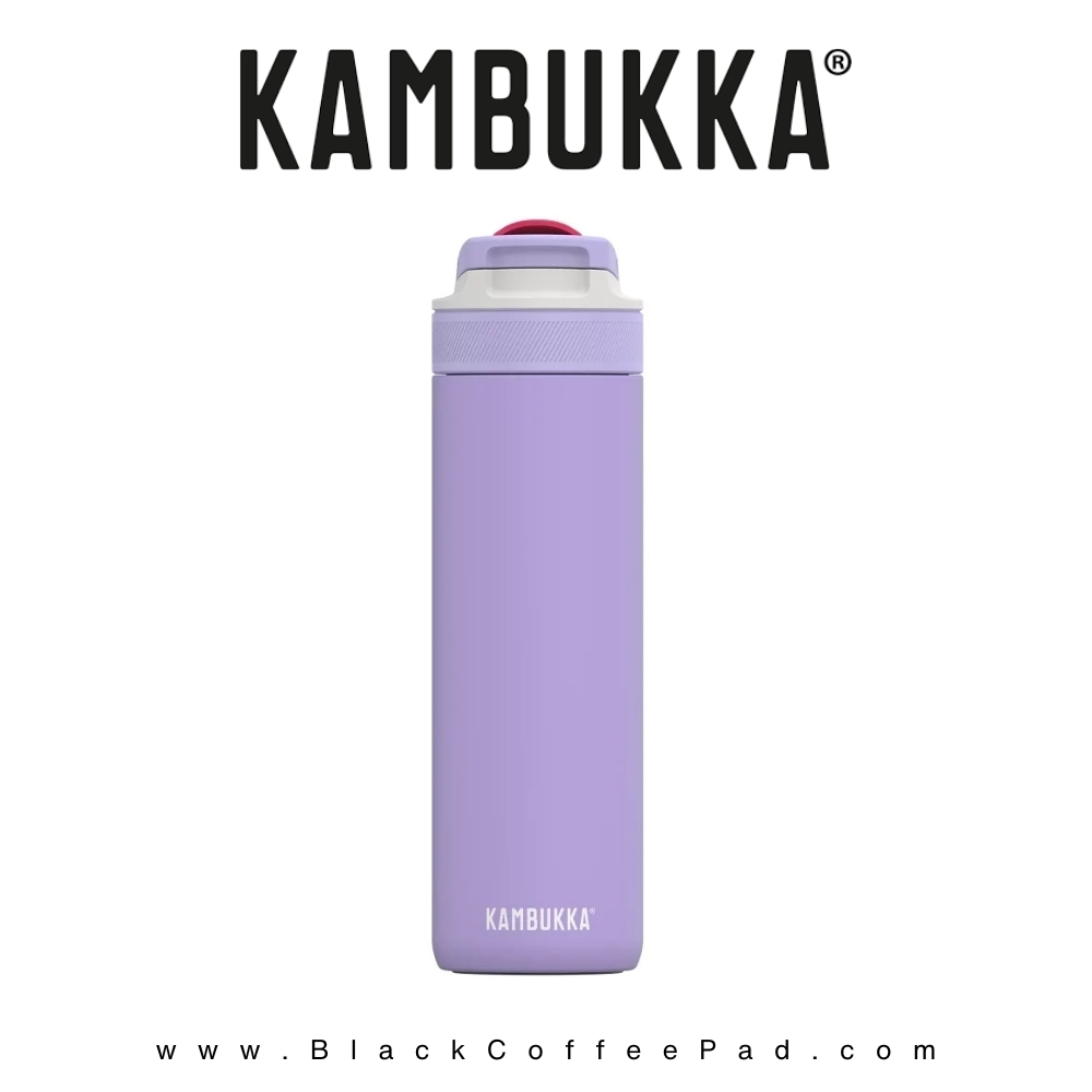  قمقمه دوجداره نی دار کامبوکا Digital Lavender گنجایش ۰٫۶ لیتر | KAMBUKKA lagoon insulated Bottle 600 ml 