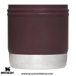 فلاسک استنلی لیمیتد ادیشن 110 سالگی 1 لیتری زرشکی - Image 4