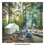 یخچال کمپینگ استنلی مدل Easy Carry Lunch کد G2025 ظرفیت 28.3 لیتر | Stanley Adventure Outdoor Cooler 28.3L - Image 13